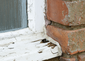 Where's the rot? What areas of your business might let you down on closer inspection?